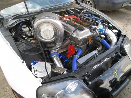 Supra freak 2.jpg