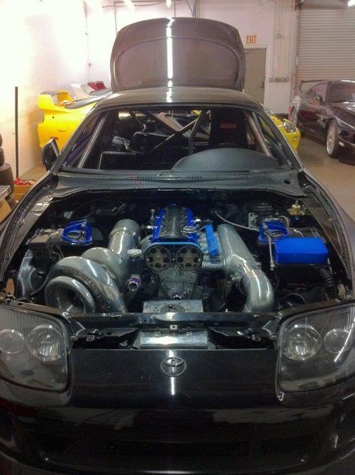 Supra freak 3.jpg