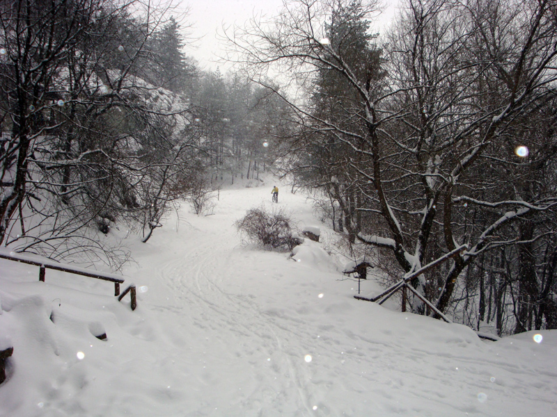 DSC01410.JPG
