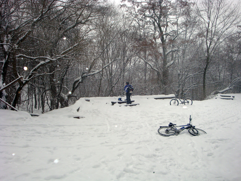 DSC01411.JPG