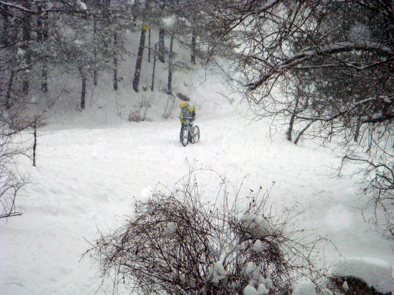 DSC01413.JPG
