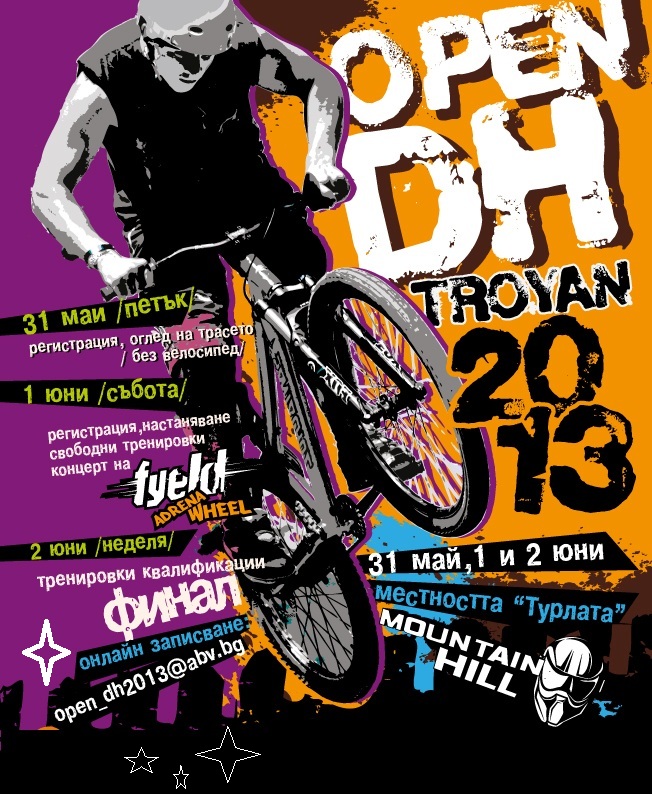 poster-downhilll 2013 a.jpg