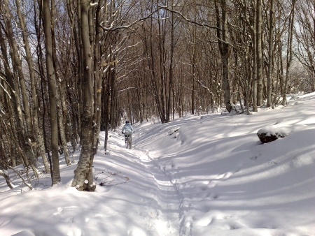070320106450.jpg