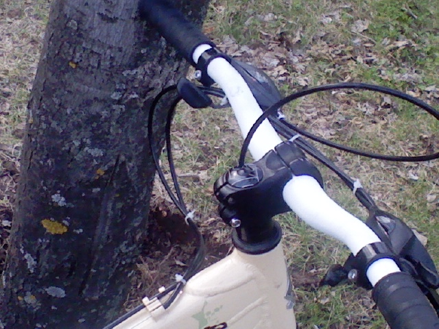 picture0347.jpg