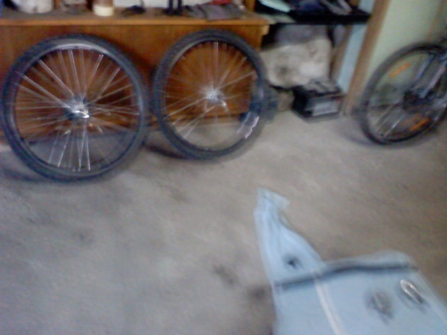 picture0334.jpg