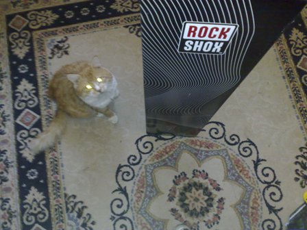 15042010400.jpg