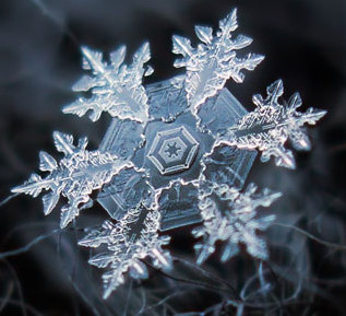 snowflakes-alexey-kljatov.jpg