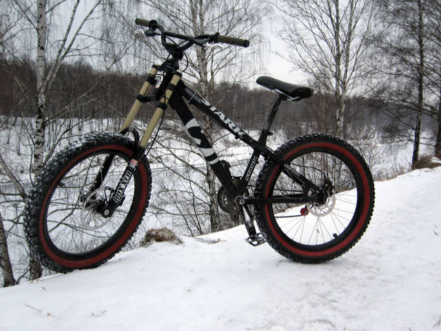 Copy of normalimg0391lk1.jpg