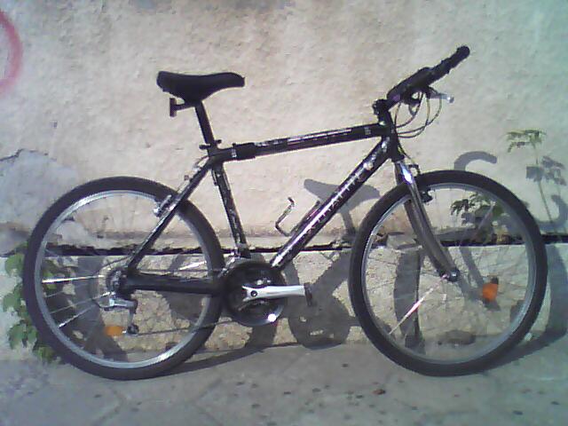 DSC00586.jpg