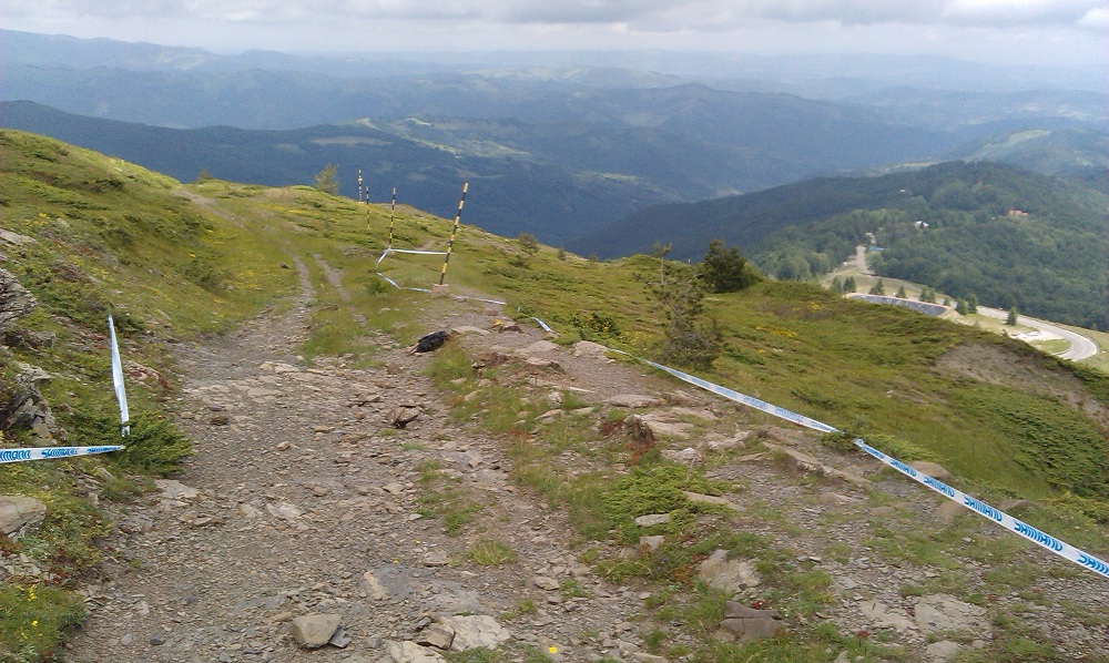 IMAG0184.jpg