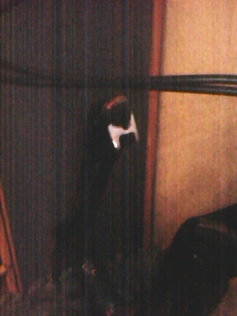 IMG0104A.jpg