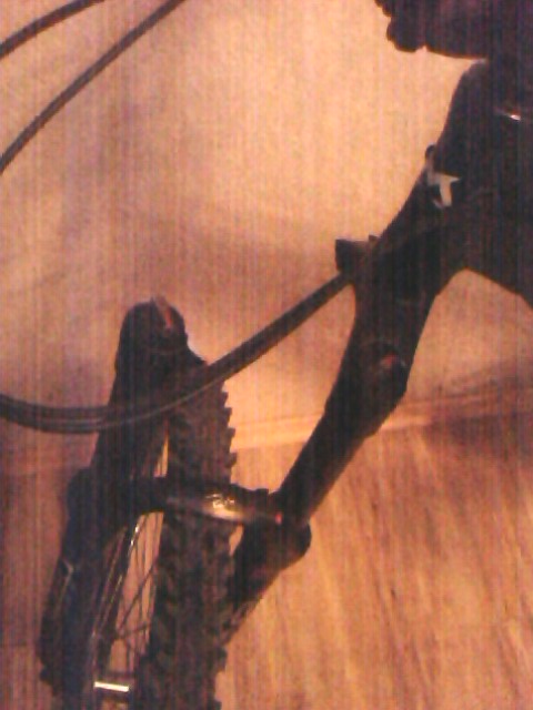 IMG0103A.jpg