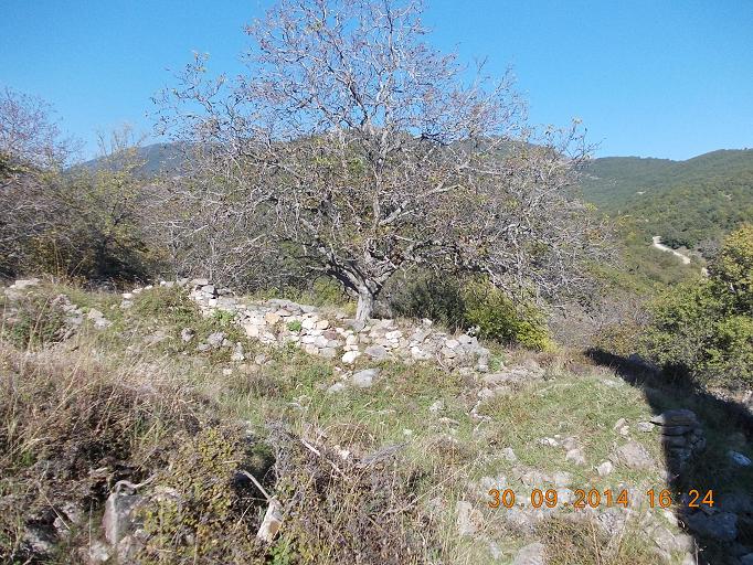 DSCN0941.JPG