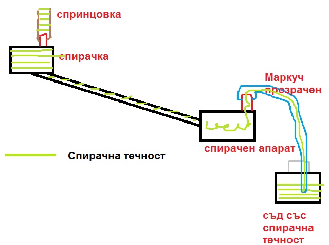 123.jpg