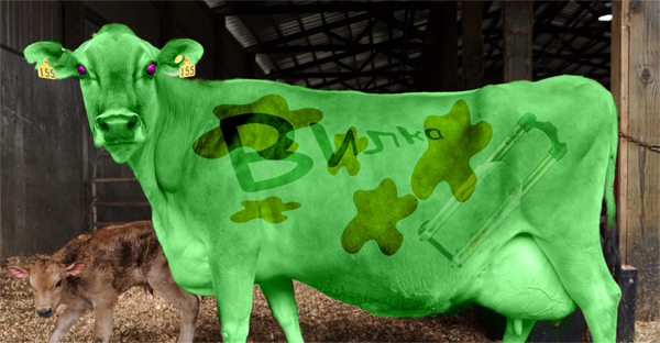 Fork-Cow.png