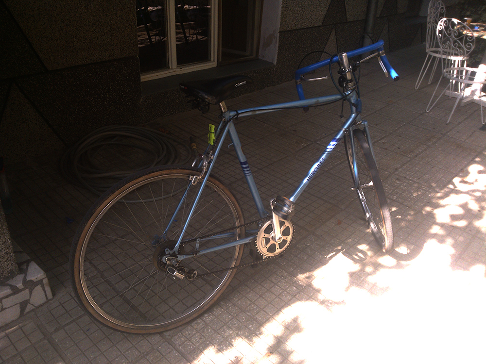 WP_000561.jpg