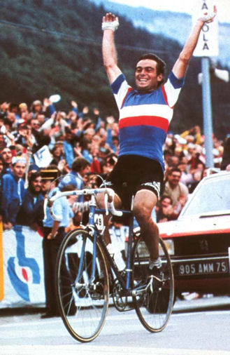 hinault 80-5 cut.jpg