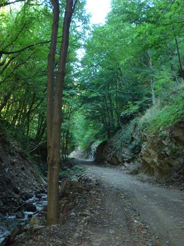 DSC02194.JPG
