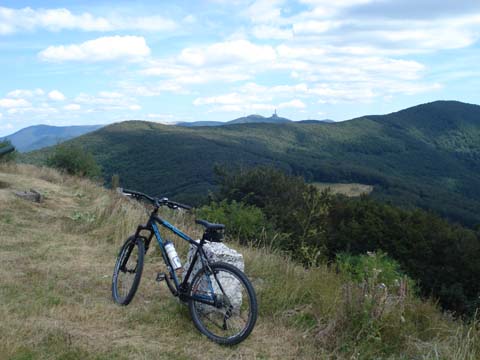 DSC02280.JPG