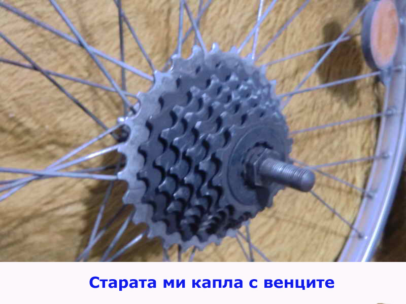 CIMG0304_11.jpg