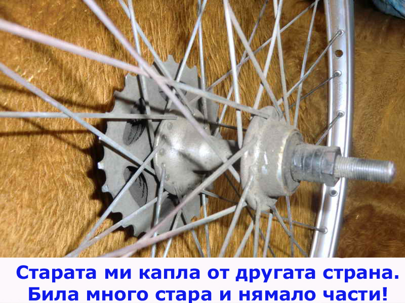 CIMG0309_11.JPG