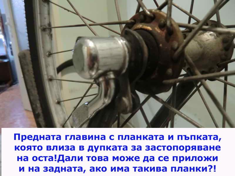 CIMG0312_11.JPG