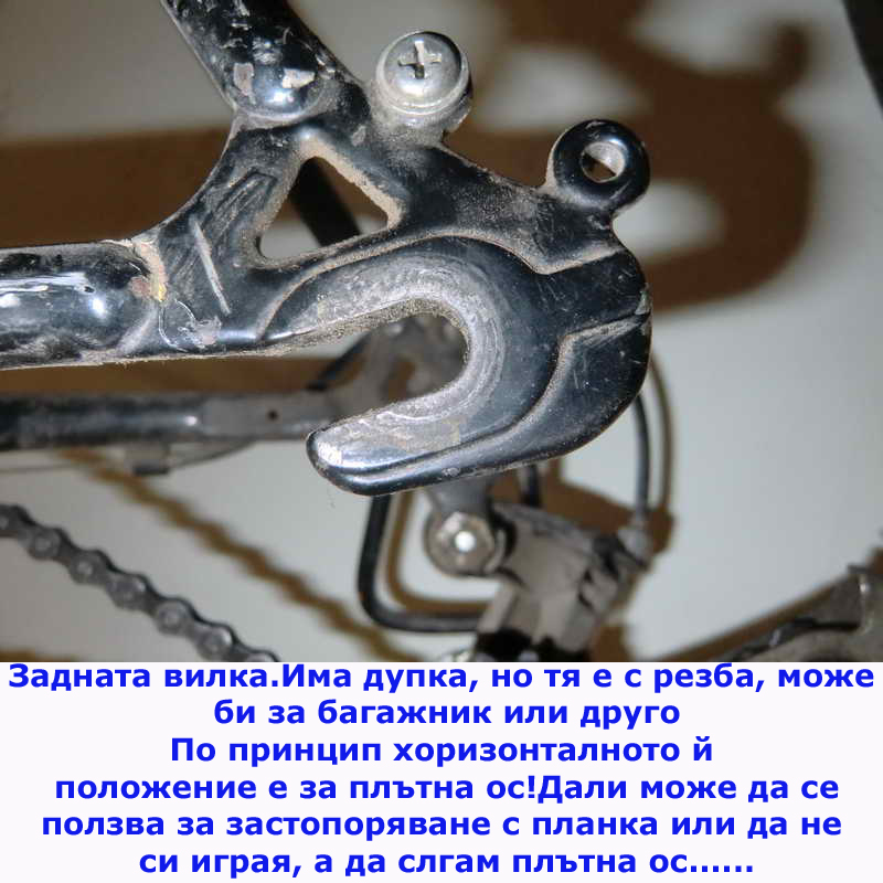 CIMG0309_111.JPG