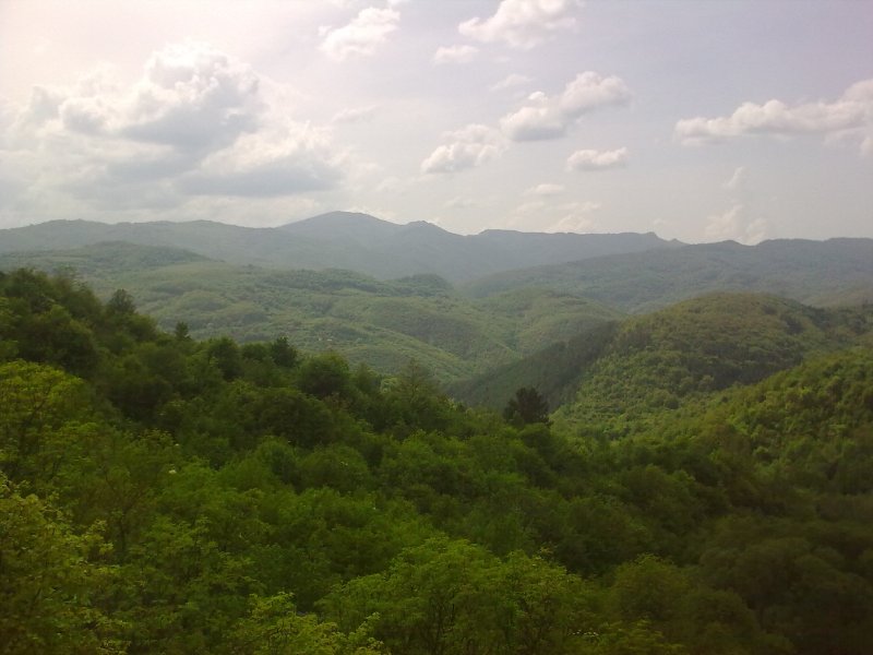 17.05.09 1.jpg