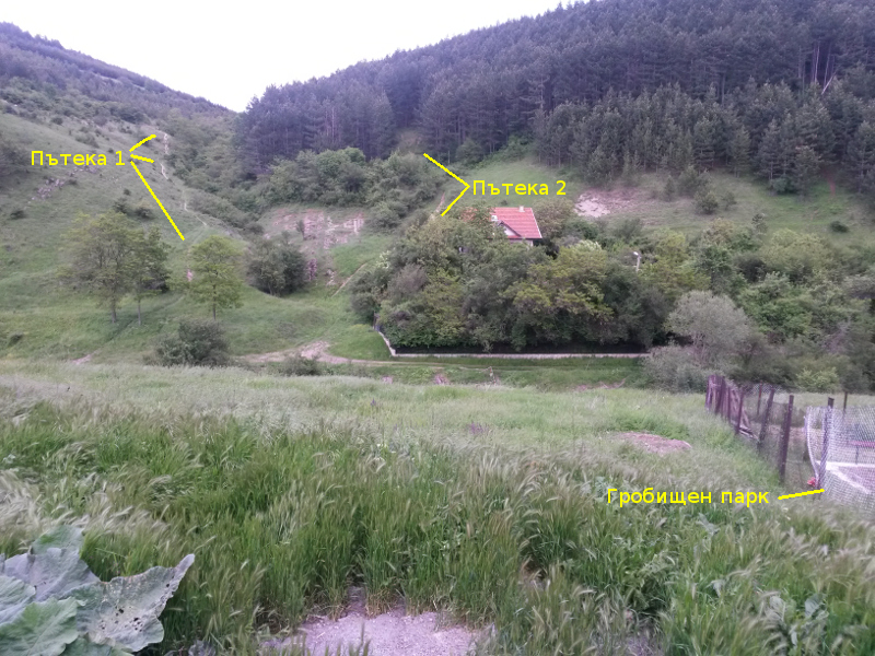zhelava+.jpg