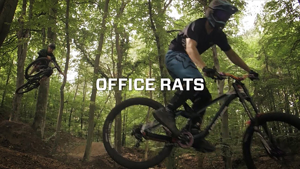 video-2017_office-rats_pic.jpg