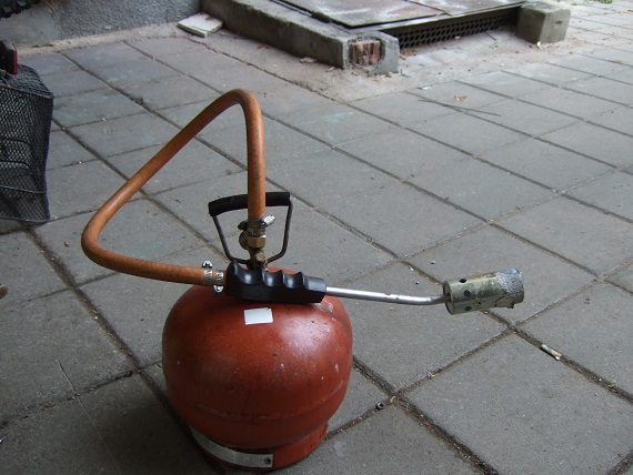 DSCF0801.JPG