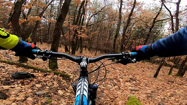 trails-video-2019_hidden-trail-eleshnitsa_pic.jpg